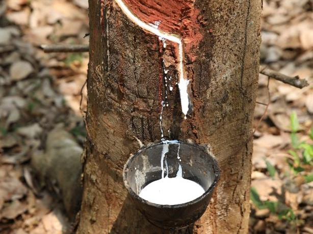 The collision between "natural latex" and Sloco gives the product a silky and anti stick feel!